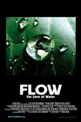 webdice_flow_poster