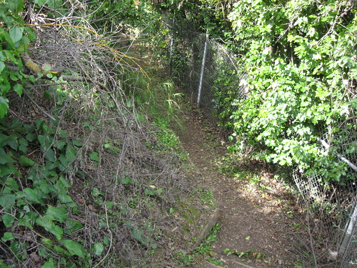 Shortcut to trail