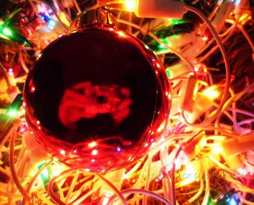 trapped in an ornament