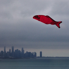 Fish flying over Chicago