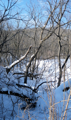 Winter5 at Whitewater State Park near Elba, MN