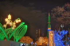 Sapporo_illumination03
