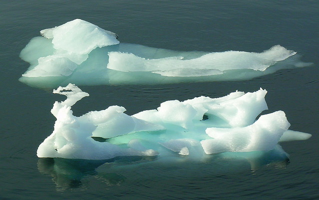 ANTARCTICA2010-74 Foyn Barbour 南極 Foyn灣