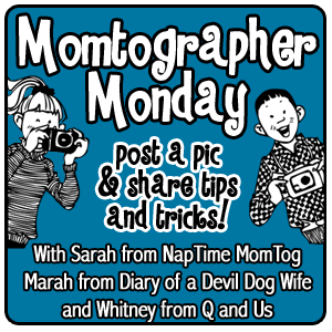 Momtographer Monday