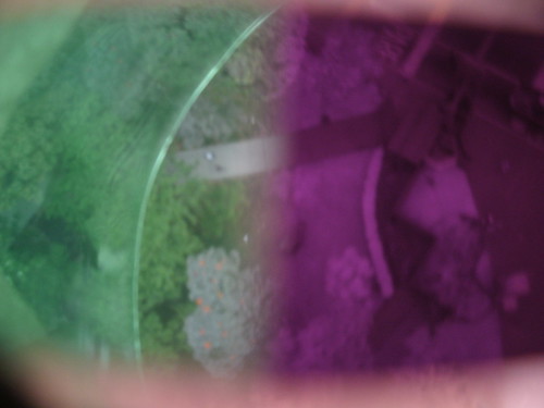 Bifocal visible/infrared aerial photo