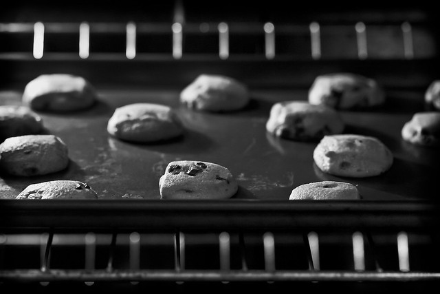 018/365 - January 18, 2011 - Half Baked