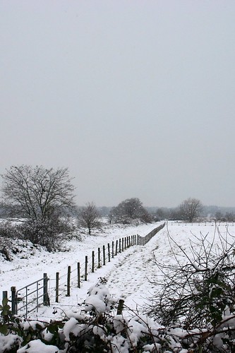Snow landscape II (variant)