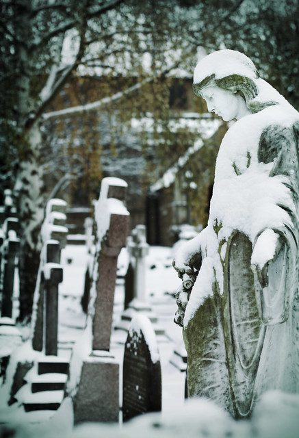 Graveyard in snow