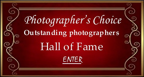 Outstanding Photographers Hall of Fame ENTER