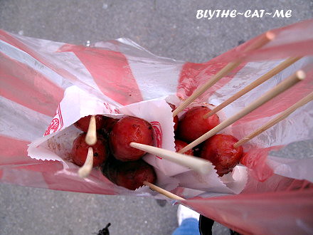 陳記草莓香腸 (10)