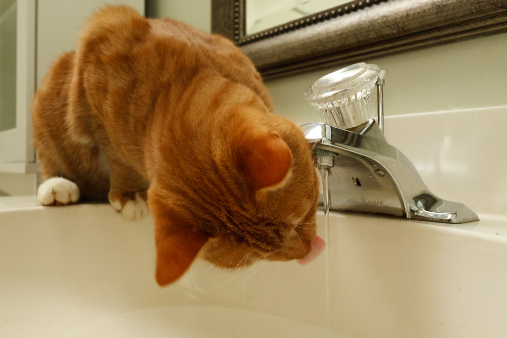 OJ at the faucet