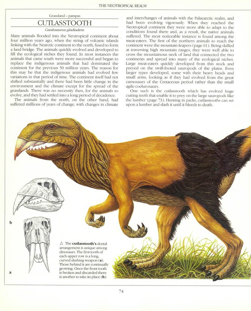 The New Dinosaurs - Dougal Dixon 1988_page_0074