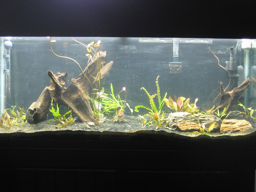 Fish Tank- Fixed!