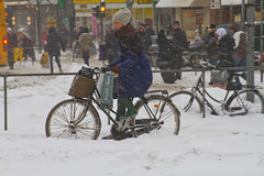 Snowstorm Shopping Transport