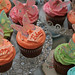 Bespoke Birthday Cupcakes 