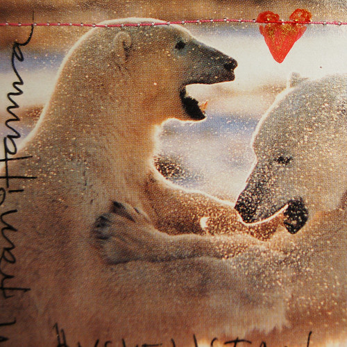 Detail: Snow bear amore