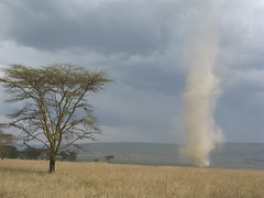 Dust devil in Nakuru