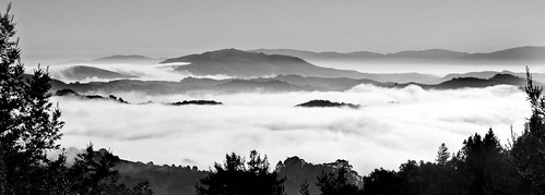 East Bay valley fog