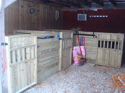 Our miniature horse stalls