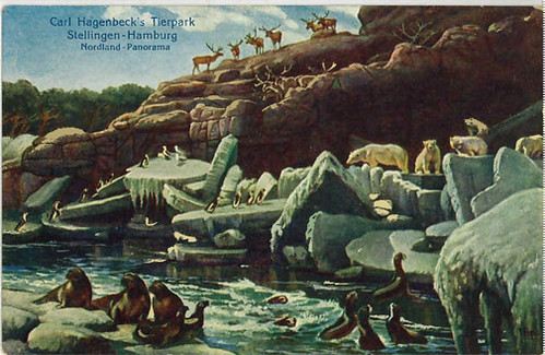 Carl Hagenbeck’s Tierpark - postcard