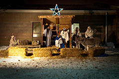 The living nativity