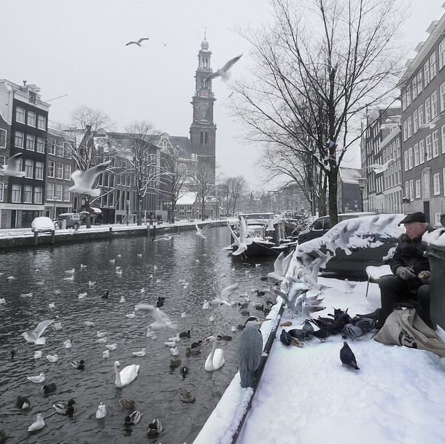 Helping birds survive the Dutch Winter by B?n