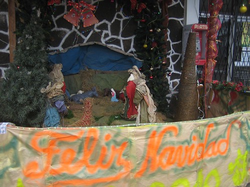 Nativity scene on Charles Darwin Ave.