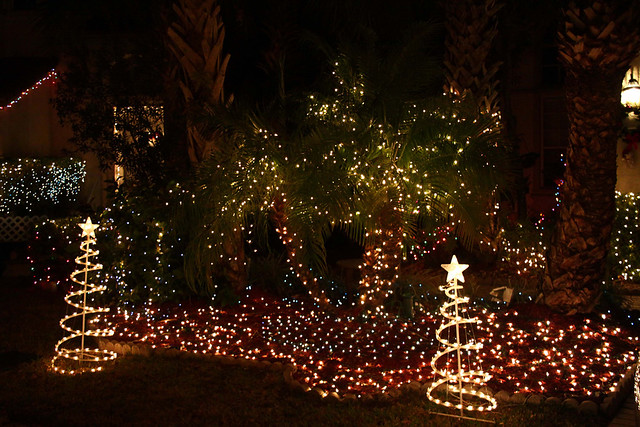 Christmas Eve lights