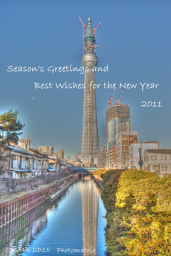 2011_new_year
