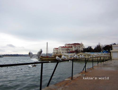crimea_seagulls ©  kakna's world
