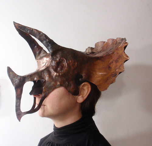 triceratops worn profile