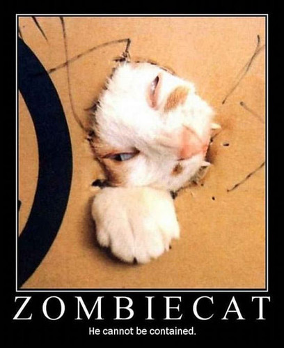 zombie-cat5