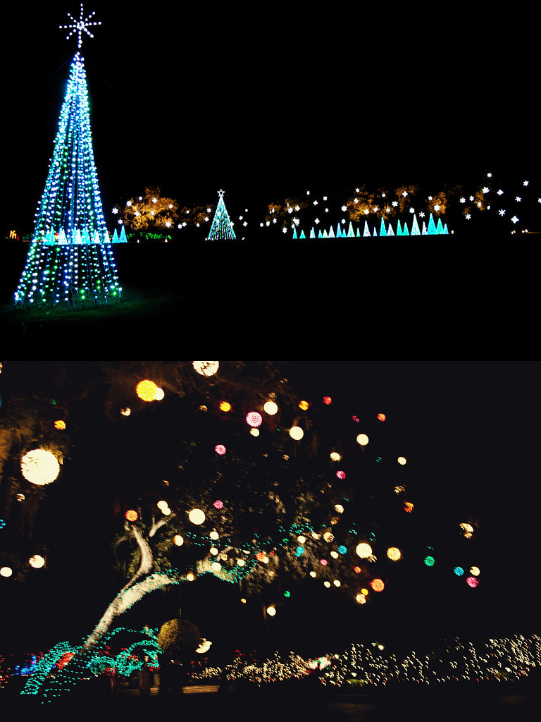 Bellingrath Gardens Christmas lights 4