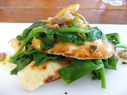 Sprout - grilled olympus haloumi with warrigal greens, green olive and preserved lemons