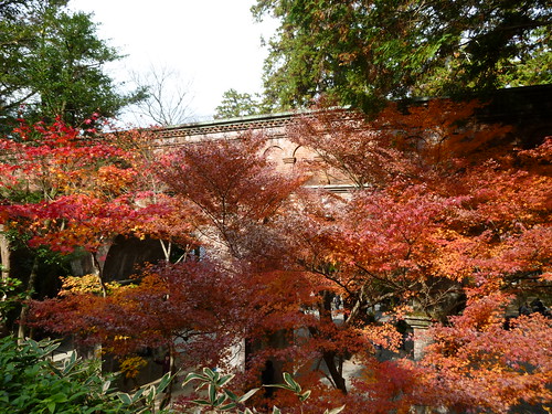 Kyoto Eikan-ji Nanzen-ji 2010.11.28_022