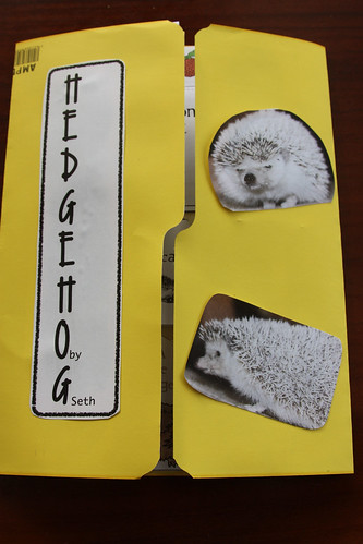Hedgehog Lapbook