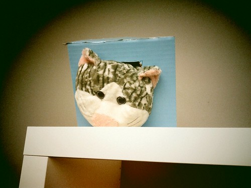 Day 5 - Ceiling Cat is Watching You