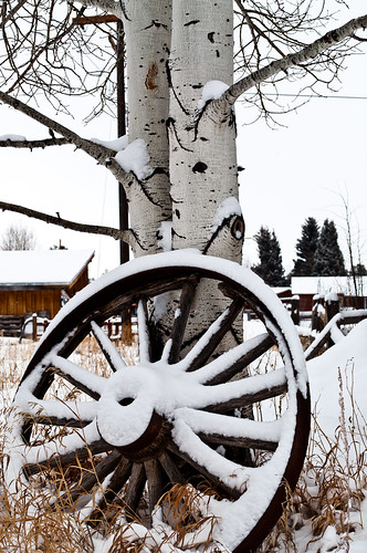 a picture of an old wagon wheel covered in snow leaning on a skinny tree with white bark, log cabins can be seen in the background