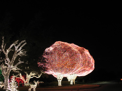 Christmas lights in Fort Worth