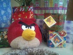 The red bird guards our presents
