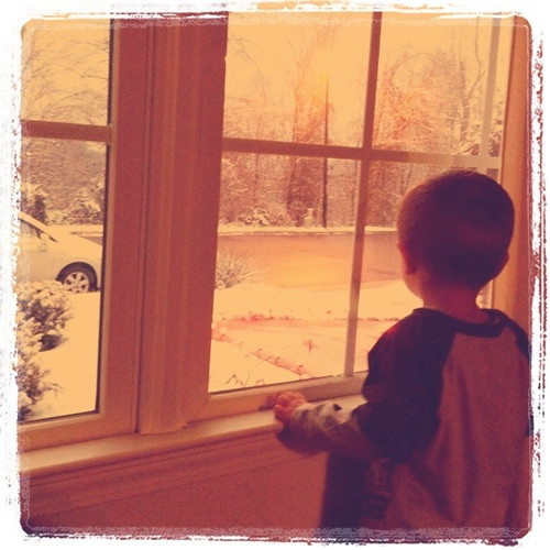 watching the snow fall