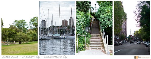 rushcutters bay park pet photography point potts