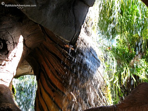 IMG_4920-WDW-DAK-Tree-Of-Life-waterfall