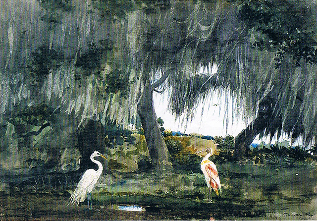 Winslow Homer Tropics