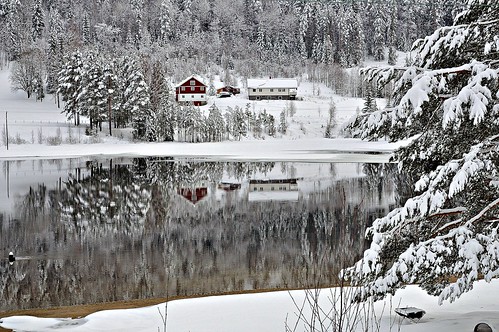 Winter Reflections.