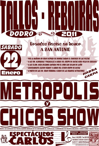 Dodro 2011 - Tallos Reboiras - cartel