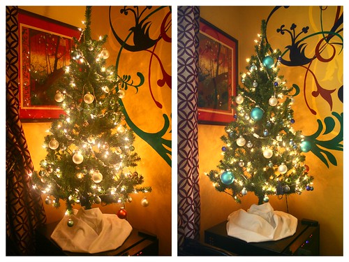 Tree Before and After