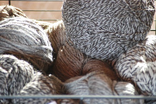 shetland wool