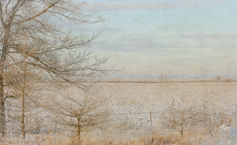 Snow On the Prairie