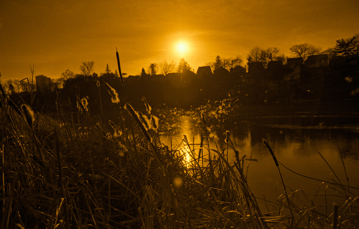 Sunset On High Park's Grenadier Pond